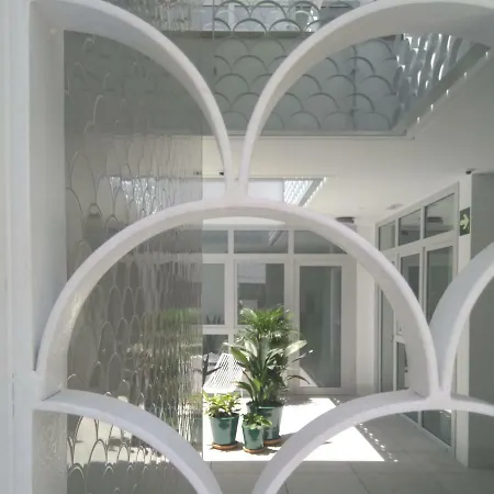 Y Estudios Centricos Conil