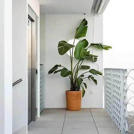 Y Estudios Centricos Conil Conil De La Frontera