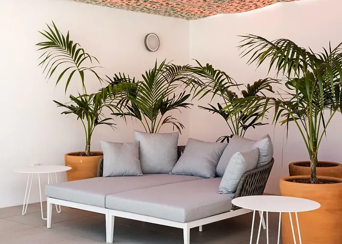 Y Estudios Céntricos Conil Apartahotel Conil De La Frontera