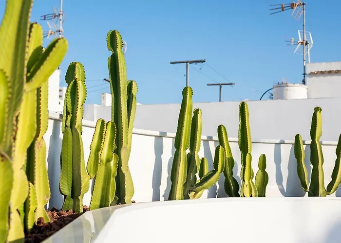 Y Estudios Céntricos Conil Apartahotel 4*