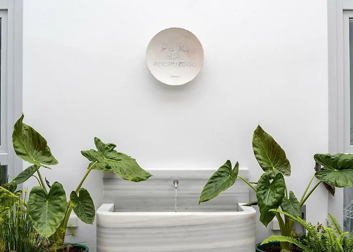 Y Estudios Centricos Conil