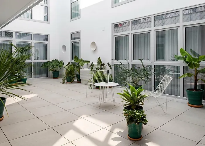 Y Estudios Centricos Conil 콘일데라프론테라