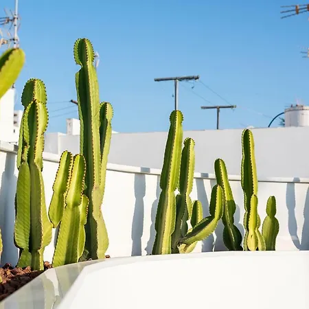 Y Estudios Centricos Conil Lägenhetshotell 4*