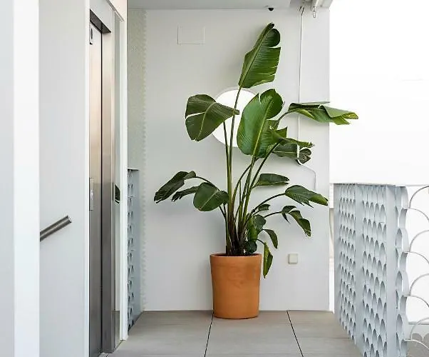 Y Estudios Centricos Conil Conil De La Frontera